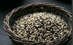 Sesame Seeds - Image 3